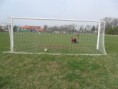 /album/fotogaleria-trening/w9-jpg1/